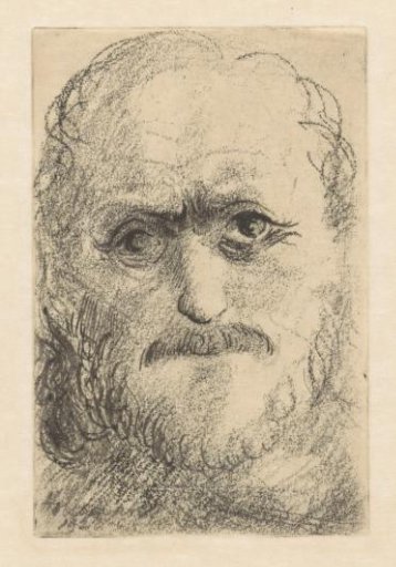 Man with moustache and beard