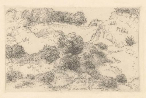Dune Landscape with Bushes