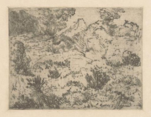 Dune landscape with bushes and trees
