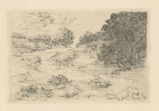 Dune landscape