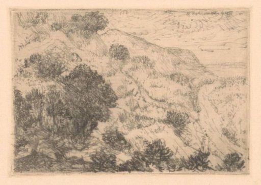 Dune Landscape with Bushes