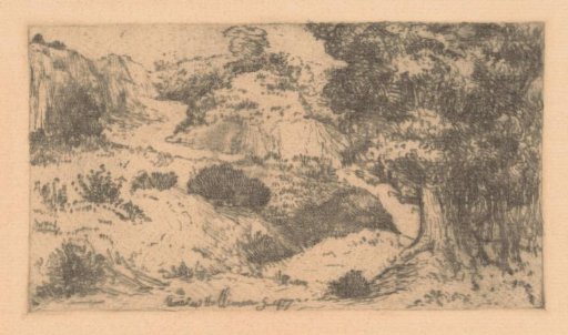 Forest Edge with River and Rocks