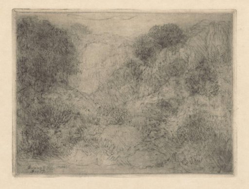 Rocky landscape with bushes