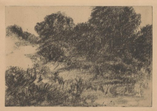 Dune with bushes