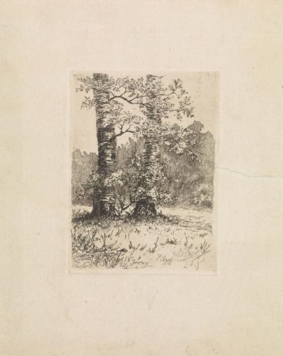 Two trees