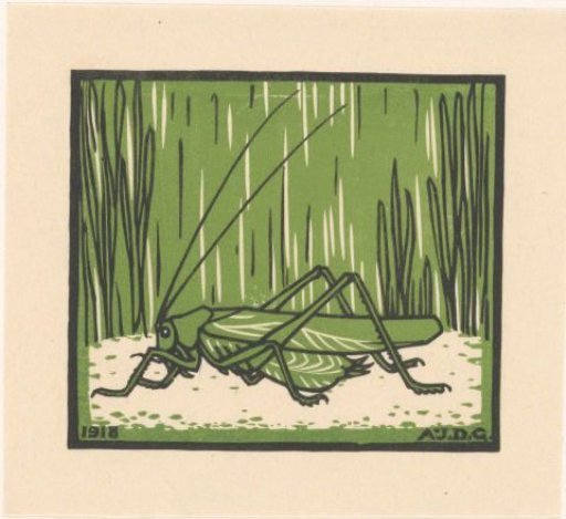 Grasshopper