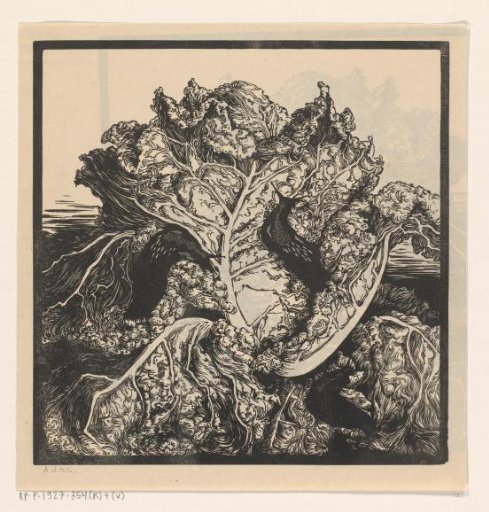Three Slugs on a Cabbage