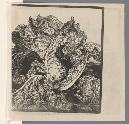 Three slugs on a cabbage