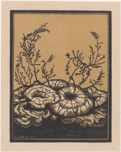 Flowering Plants