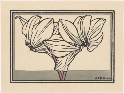 Cyclamen