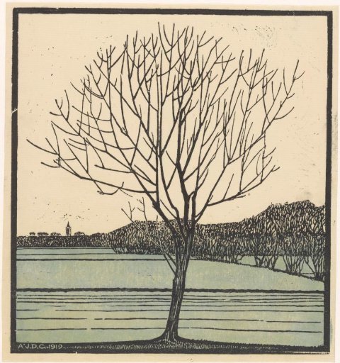 Bare Tree