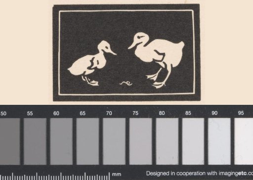 Two Ducklings