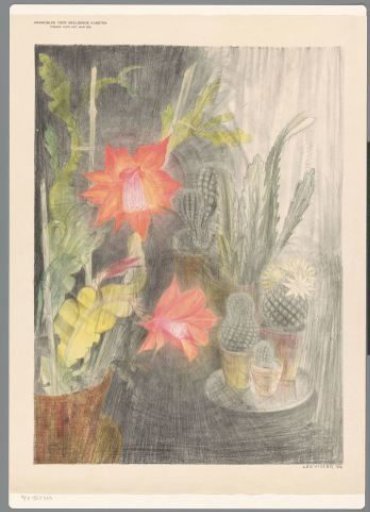 Pots with cacti and a flowering plant