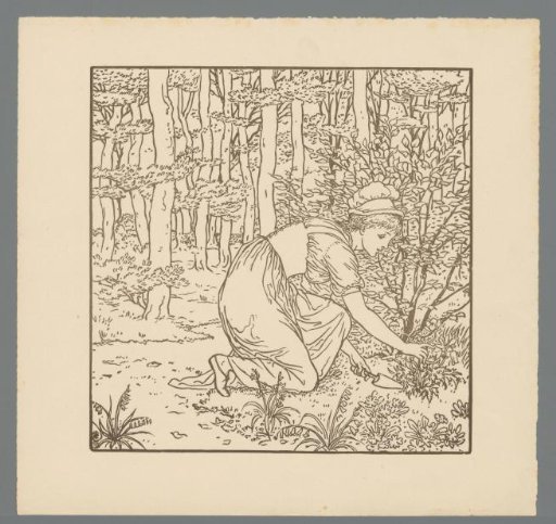 Woman in a forest digging up a plant