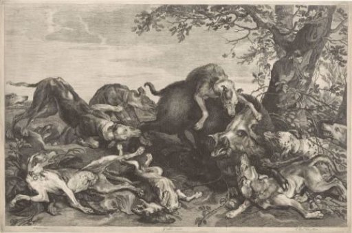 Hunt for a wild boar