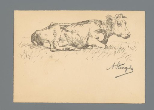 Lying cow