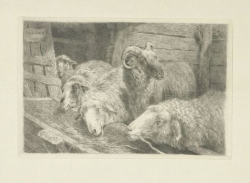 Four Sheep and a Ram before a Trough