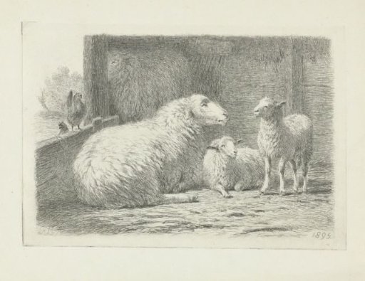 Sheep and Two Lambs in a Barn