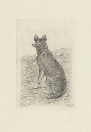 Sitting dog seen from behind