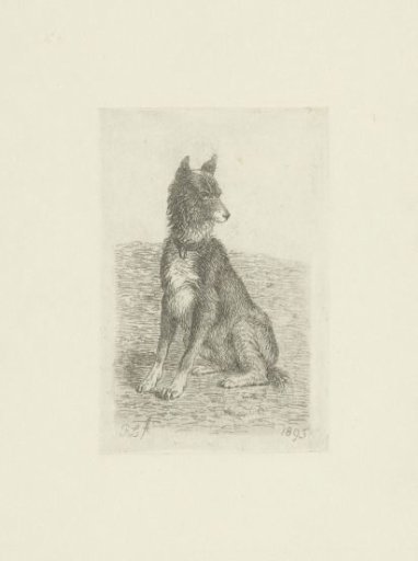 Sitting dog with head to the right