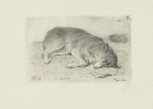 Sleeping dog