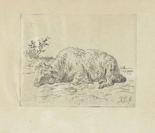 Lying Ram