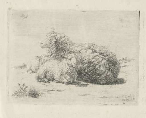 Lying Sheep and Two Lambs