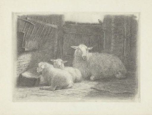 Sheep and Two Lambs in a Stable