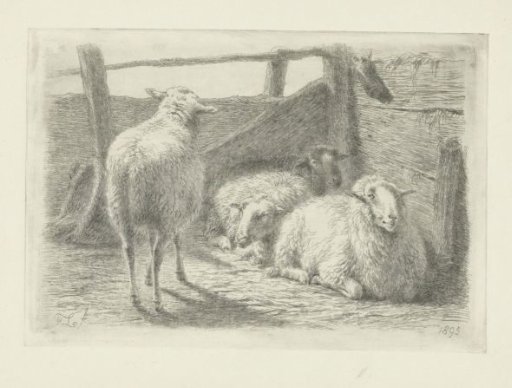Four Sheep