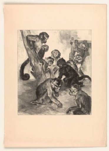 Monkeys