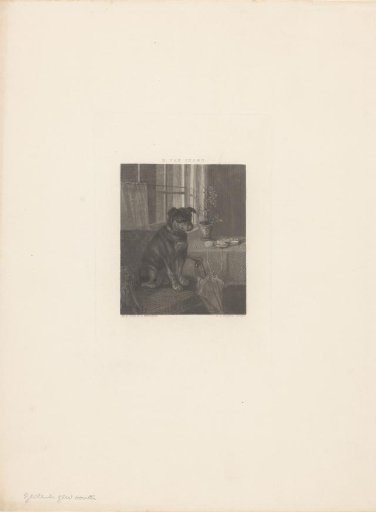 Interior with a dog on a chair
