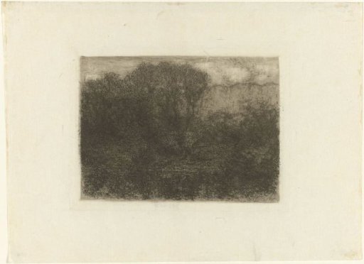 Woodland Pond