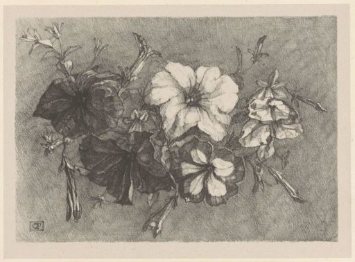 Petunias