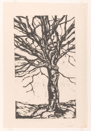Bare tree