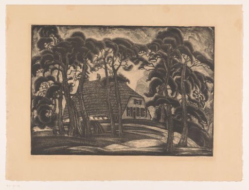 House Among Trees