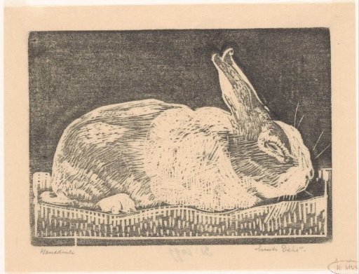 Rabbit