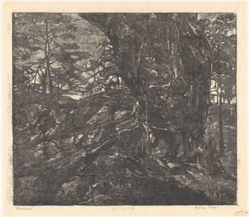 Trees on a dune ridge between Egmond and Bergen