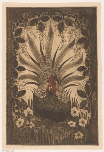 Silver pheasant