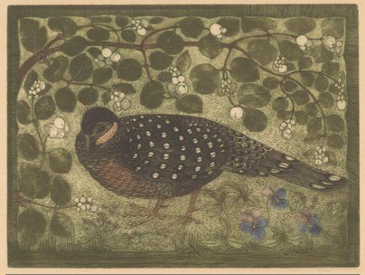 Peacock pheasant near a snowberry