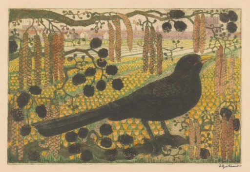 Blackbird in a tree near a tulip field