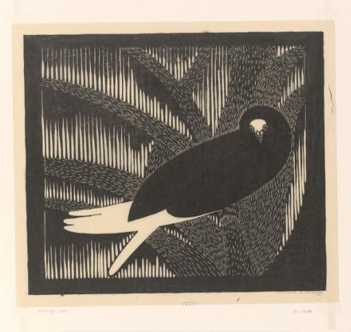 Dove in Undergrowth (English Councillor)