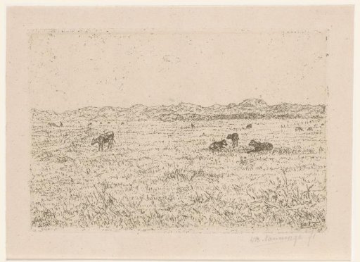 Meadow with cattle near the dunes