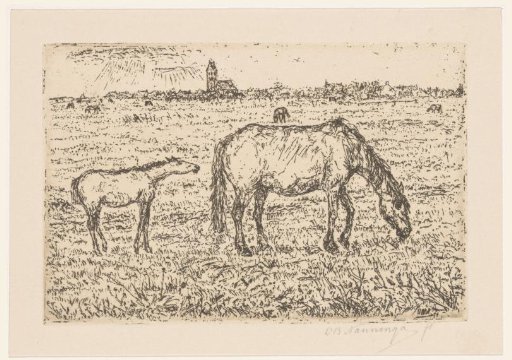 Horse and foal in meadow