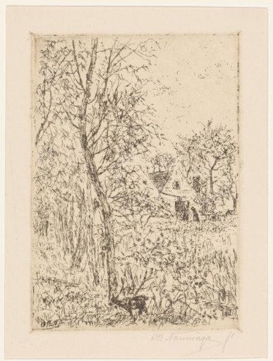 Goat in garden