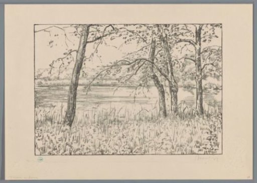 Trees by a lake