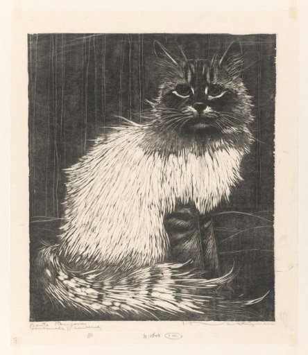 Spotted Angora