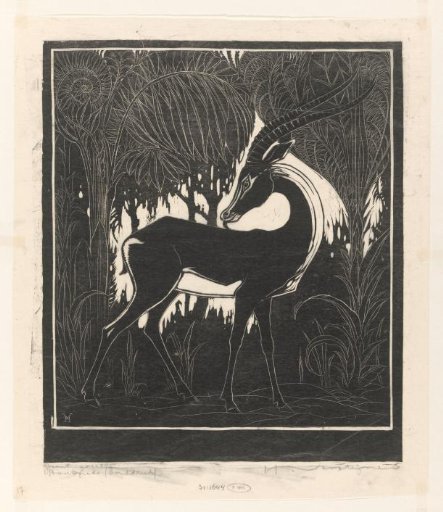 Grant gazelle