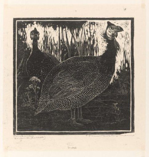 Guineafowl