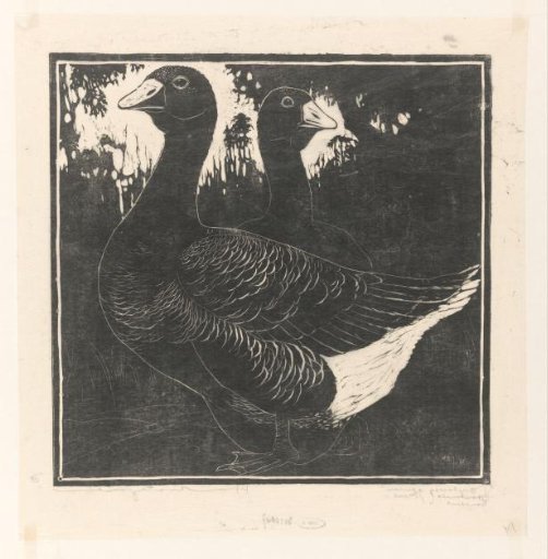 Toulouse Geese