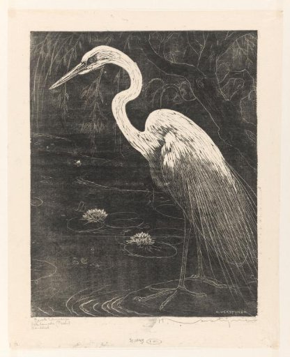 Great Grey Heron
